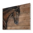 thumbnail image 2 of Designart 'Close Up Portrait Of A Brown Bay Horse' Farmhouse Print on Natural Pine Wood, 2 of 5