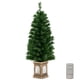 thumbnail image 5 of Costway Árbol de Navidad en maceta preiluminado, decoración de entrada Artificial con 3 modos de iluminación, 1 unidad, 120 cm, 5 of 5
