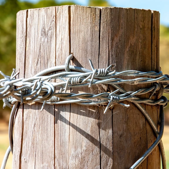 HOMEMAXS 70 Pcs U Nails Net Staples Nails -Shaped Wire Fencing Heavy Duty Tacks Cable Mesh Fasteners Garden Masonry Fixing Turf Tools