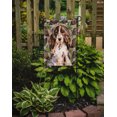 thumbnail image 2 of Carolines Treasures BB9587GF Brown Parti Pine Cones Garden Flag, 2 of 3