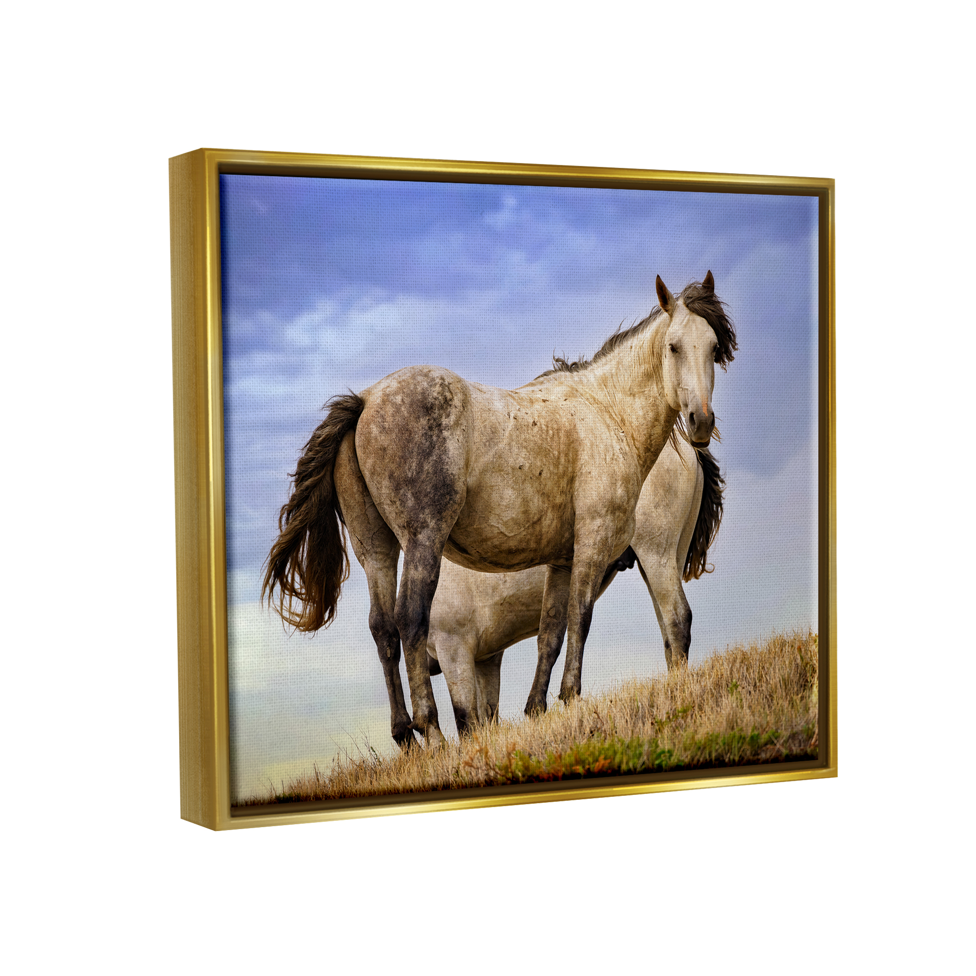 Stupell Rural Stallions Country Wildlife Animals & Insects Photography Gold Floater Framed Art Print Wall Art