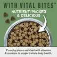 thumbnail image 5 of Specialized Nutrition - Digestive & Immune Health Lamb & Oatmeal Formula - Dry Dog, 5 of 5