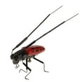 thumbnail image 3 of koolsoo 5 Pieces Hot Selling Simulation Artificial Animal Model Children Educational Toy Longicorn, 3 of 9