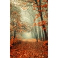 thumbnail image 2 of Jenny Rainbow Fine Art 13x18 Black Ornate Wood Framed with Double Matting Museum Art Print Titled - Autumn Rust, 2 of 4