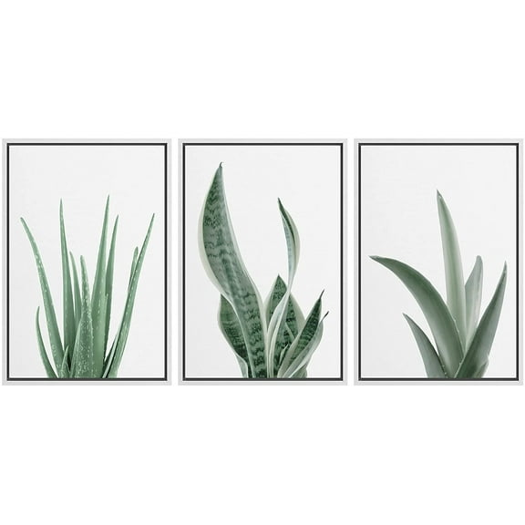 wall26 Framed Canvas Print Wall Art Set Minimal Snake Plant Agave Succulents Nature Wilderness Photography Modern Art Bohemian Decorative for Living Room, Bedroom, Office - 16"x24"x3 White