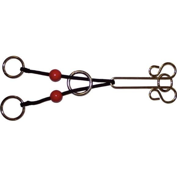 Wire Puzzle Scorpion