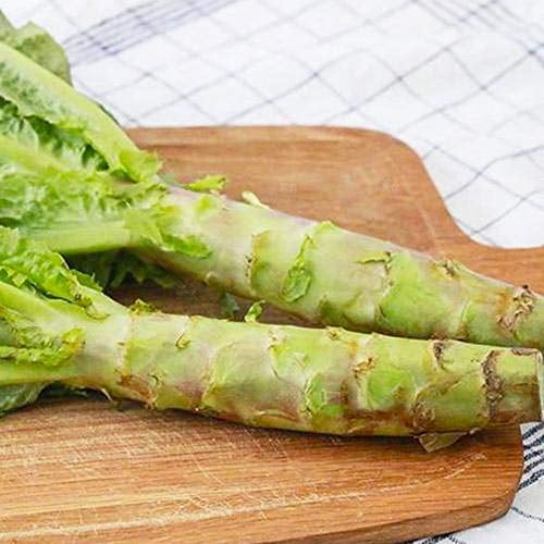 Asparagus Lettuce 50+ seeds Organic Heirloom Chinese Stem Lettuce 莴笋 Celtuce Seeds