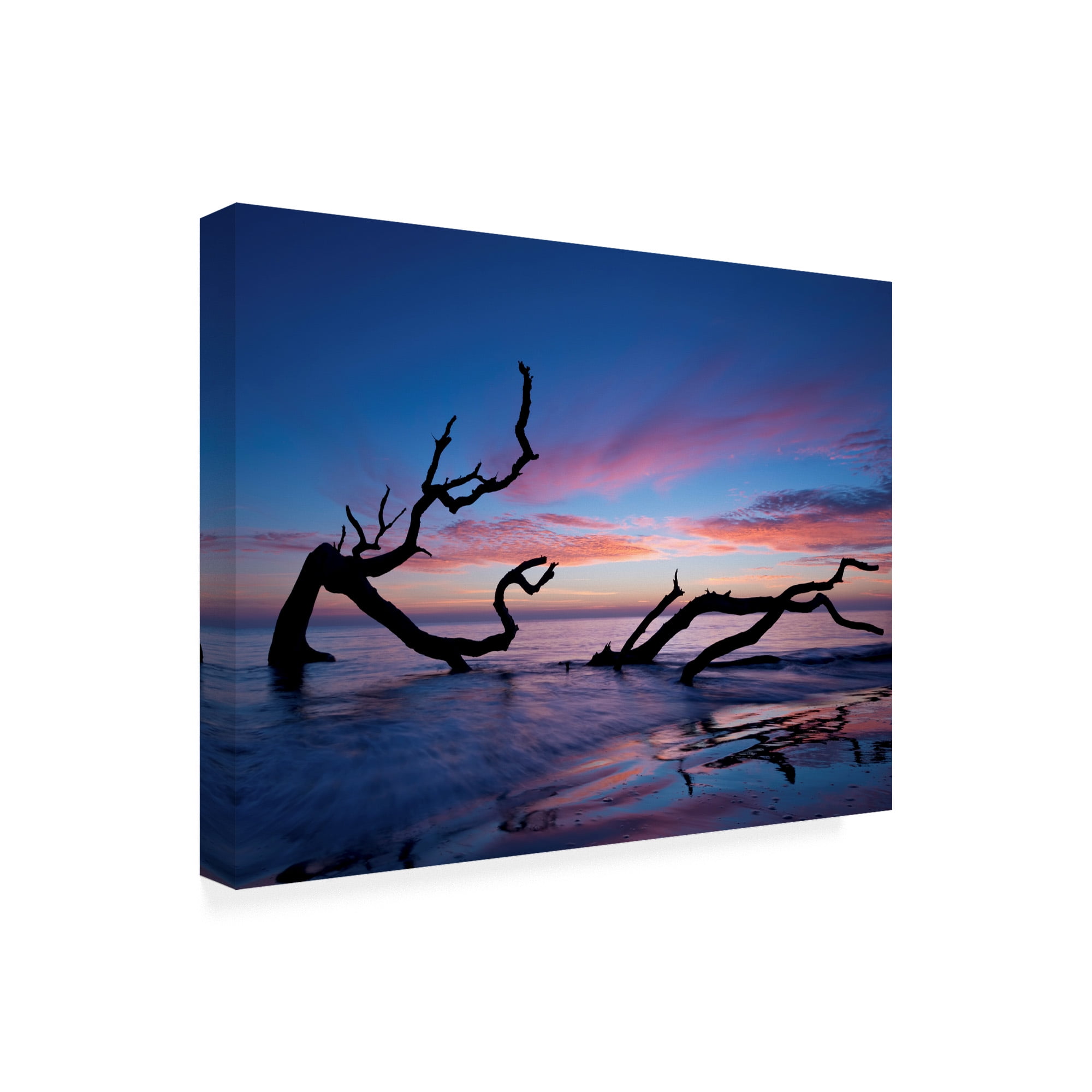 Trademark Fine Art 'Driftwood Beach' Canvas Art by PHBurchett