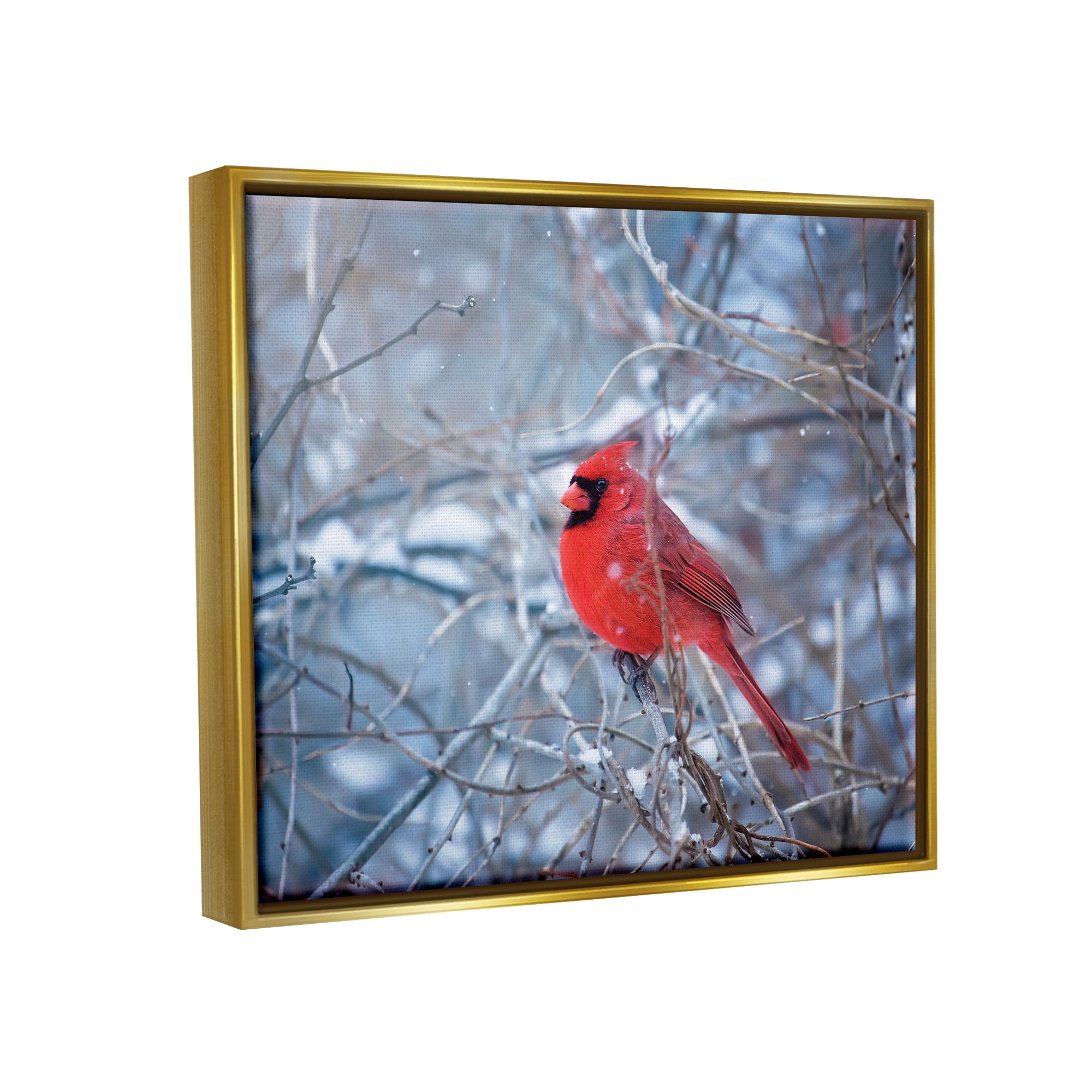 Stupell Industries Cardinal in Winter Branches Animals & Insects Photography Gold Floater Framed Art Print Wall Art, 21 x 17