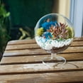 thumbnail image 6 of 6" Chalice Glass Succulent Terrarium Kit for Kids & Adults, Reindeer Moss, Crystals, Rocks, Tools & Figurine (Includes Live Plant), 6 of 12