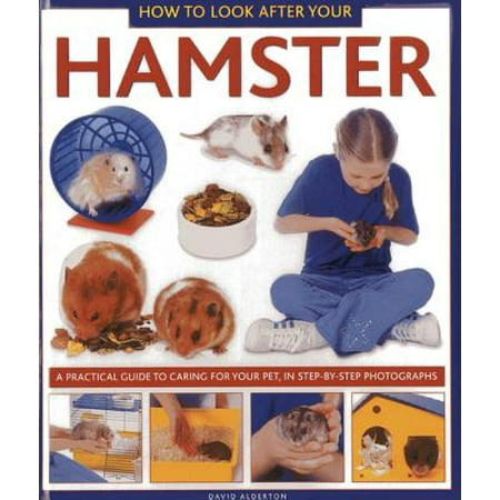 How to Look After Your Hamster : A Practical Guide to Caring for Your Pet, in Step-By-Step (Best Way To Take Care Of A Hamster)