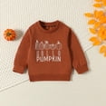 thumbnail image 6 of UACY Toddler Baby Girl Halloween Outfit, Pumpkin Patch Crewneck Sweatshirt Tops and Flared Pants Set for Fall Winter Wear (Brown, 12-18 Months), 6 of 6