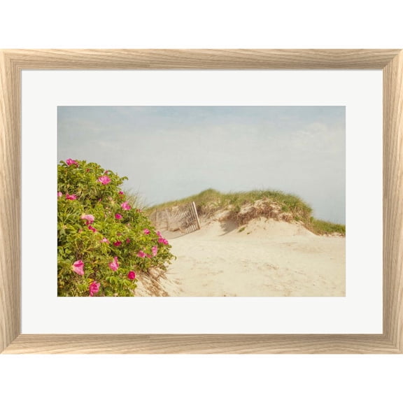 Great Art Now Rosa Rugosa by Brooke T. Ryan, Framed Wall Art, 24.75W x 18.75H