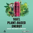 thumbnail image 5 of Yachak Yerba Mate Drink, Berry Red, 16 fl oz, 12 Pack Cans, 5 of 13
