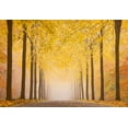 thumbnail image 2 of Keller 18x14 White Modern Wood Framed Museum Art Print Titled - Autumn Road, 2 of 4
