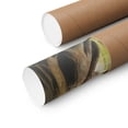 thumbnail image 2 of ELNEIT - Congaree National Park Poster, Unframed Matte Paper, S02, 2 of 4