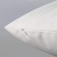 thumbnail image 5 of Fundas de almohada lumbar, paquete de 2 fundas de cojín decorativas de terciopelo suave para sofá, dormitorio, coche, 5 of 5