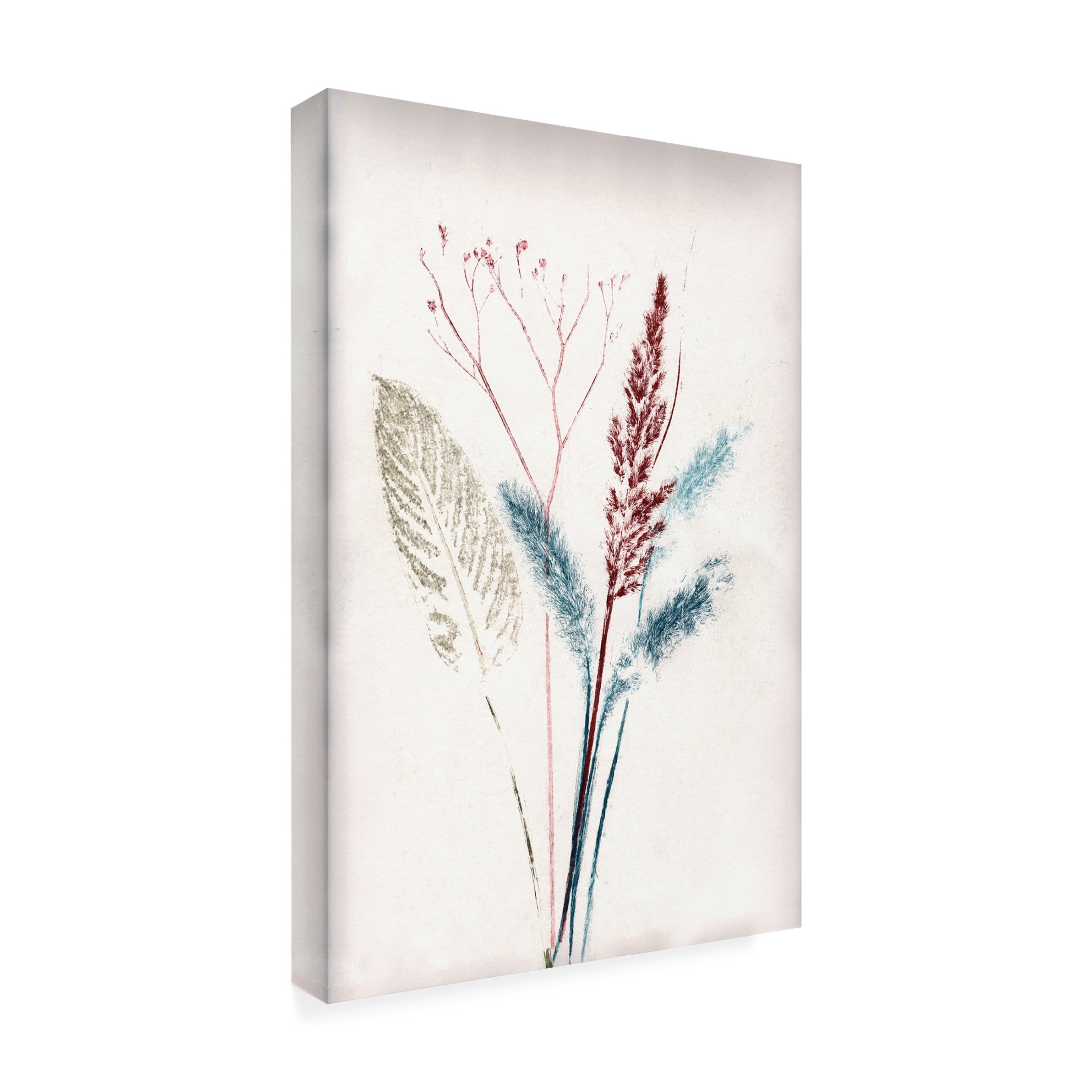 Canvas Wall Art - Pernille Folcarelli 'Bouquet 4' Wall Art for Living Room, Bedroom, or Office Décor by Trademark Fine Art - 22 x 32 Inches