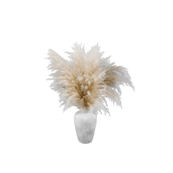 Home Decor Collection 22-Inch Pampas Grass Arrangement in Natural Ceramic Vase – Perfect for Tabletops, Shelves, or Entryways in Modern or Boho-Style Spaces, 2 lbs