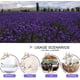 thumbnail image 4 of Lavanda seca natural 250G Flores de lavanda fragantes Brotes de lavanda para bolsitas de lavanda, 4 of 5