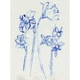 thumbnail image 2 of Art.com Inky Daffodils I Art Print by Jennifer Parker, 18" x 24", 2 of 4