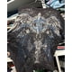 thumbnail image 5 of Camiseta vintage para mujer, ropa Y2k, ropa grunge kawaii, camisetas de algodón estampadas de manga corta, camisetas punk Y2k, ropa de calle, hip hop, harajuku, 5 of 5