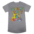 thumbnail image 4 of Sesame Street TV Show Characters Juniors Grey Graphic Tee Shirt-XL, 4 of 5