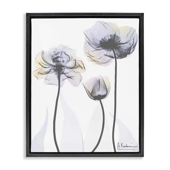 Stupell Industries Modern Poppy Flower Trio Black Floating Frame Canvas Art, 17 x 21, by Albert Koetsier