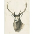 thumbnail image 2 of Popp, Grace 25x32 Gold Ornate Wood Framed with Double Matting Museum Art Print Titled - Watchful Woods IV, 2 of 4