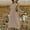 Khaki, variant on Women Casual Solid Dress Short Sleeve Square Neck Dress Button Casual Loose Big Swing Dress Rayon Dresses for Women Womens Work Dresses Business Casual Ladies Summer Dresses Casual Surplice Dress