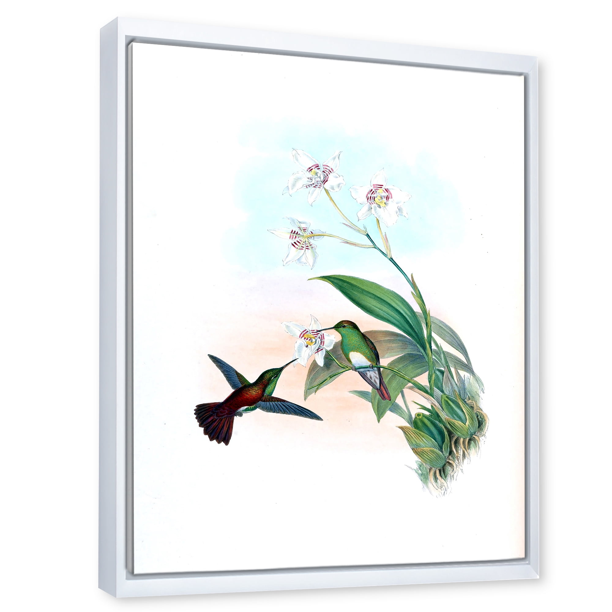 Designart 'Historic Hummingbird Flying To A Flower' Traditional Framed Canvas Wall Art Print