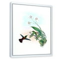 thumbnail image 3 of Designart 'Historic Hummingbird Flying To A Flower' Traditional Framed Canvas Wall Art Print, 3 of 5