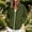 Army Green, variant on Gamivast Full Zip Sweatshirt Jacket for Women Soft Long Sleeve Stand Collar Relaxed Fit with Side Pockets Casual Lightweight Outerwear for Daily Wear Travel Lounge Fall Spring White S