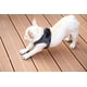 thumbnail image 5 of Petkit Arnés Pechera Para Perro Air Fly, 5 of 8