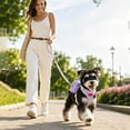 thumbnail image 6 of Miaoju Dog Backpack Harness With Storage Pockets, Lightweight Breathable Adjustable Pet Vest For Outdoor Travel Camping Daily Walking, 6 of 6