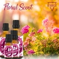 thumbnail image 2 of Bargz Satisfied Fragrance Oil for Women - Premium Grade Perfume Oil, Sweet Floral Scent Essential Oils in Glass Amber Bottle, 2 of 9