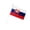 B2_10pc Slovakia Multicolor 8.3x11.8in, variant on Slovakia Hand Held Flag,10pc flags on sticks,yard flags with pole,Hand Held Stick Flags for Patriotic,Parades Parties National Flags,mini flags,flags outdoor decorations,festival celebration flags