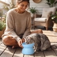 thumbnail image 7 of Elevated Tilted Cat Dog Bowl Raised Pet Feeding Bowl Neck Relief Anti Slip Base for Cats Small Dogs Whisker Friendly Indoor Food Water Dish, 7 of 7