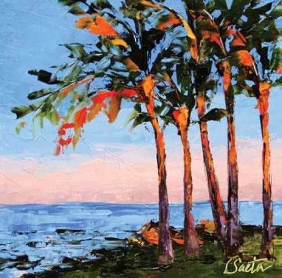 Hawaii Shores Canva