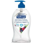 Softsoap White Tea And Ginger Liquid Hand Soap, 11.25 Fluid Ounce -- 6 Per Case