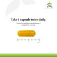 thumbnail image 4 of Terry Naturally Saffron Lift Plus Curcumin - 60 Vegan Capsules - Positive Mood & Emotional Balance S, 4 of 7