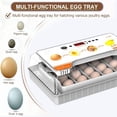 thumbnail image 3 of Incubator Incubator for Hatching Eggs Automatic Egg Turning 20 Eggs LED Efficient Egg Illumination Display Screen Multifunctional Egg Tray Automatic Temperature Control Transparent, 3 of 7