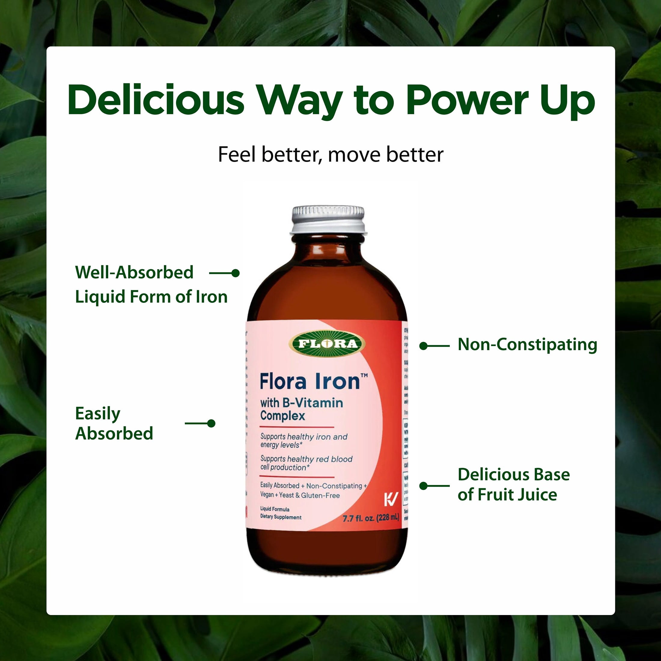 Flora Iron with B-Vitamin Complex - Non-Constipating, Highly Absorbable - Vitamin-B & Liquid Iron - Vegan Supplement - Gluten Free, 7.7-fl oz. Glass Bottle