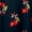 CHERRIES NAVY, variant on Women's Maxi Slip Dress With Built In Bra, Sizes S-XL