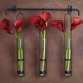 thumbnail image 3 of Couronne Co Campania Wall Vase and Metal Bar Hanger, 15.5 inches tall, 2.7 ounce capacity, Clear, 3 of 7