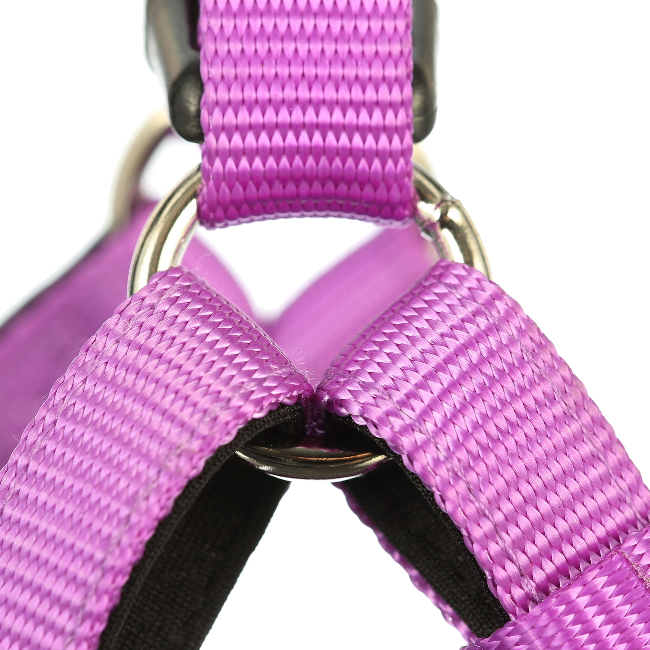 Pet champion comfort harness cheap