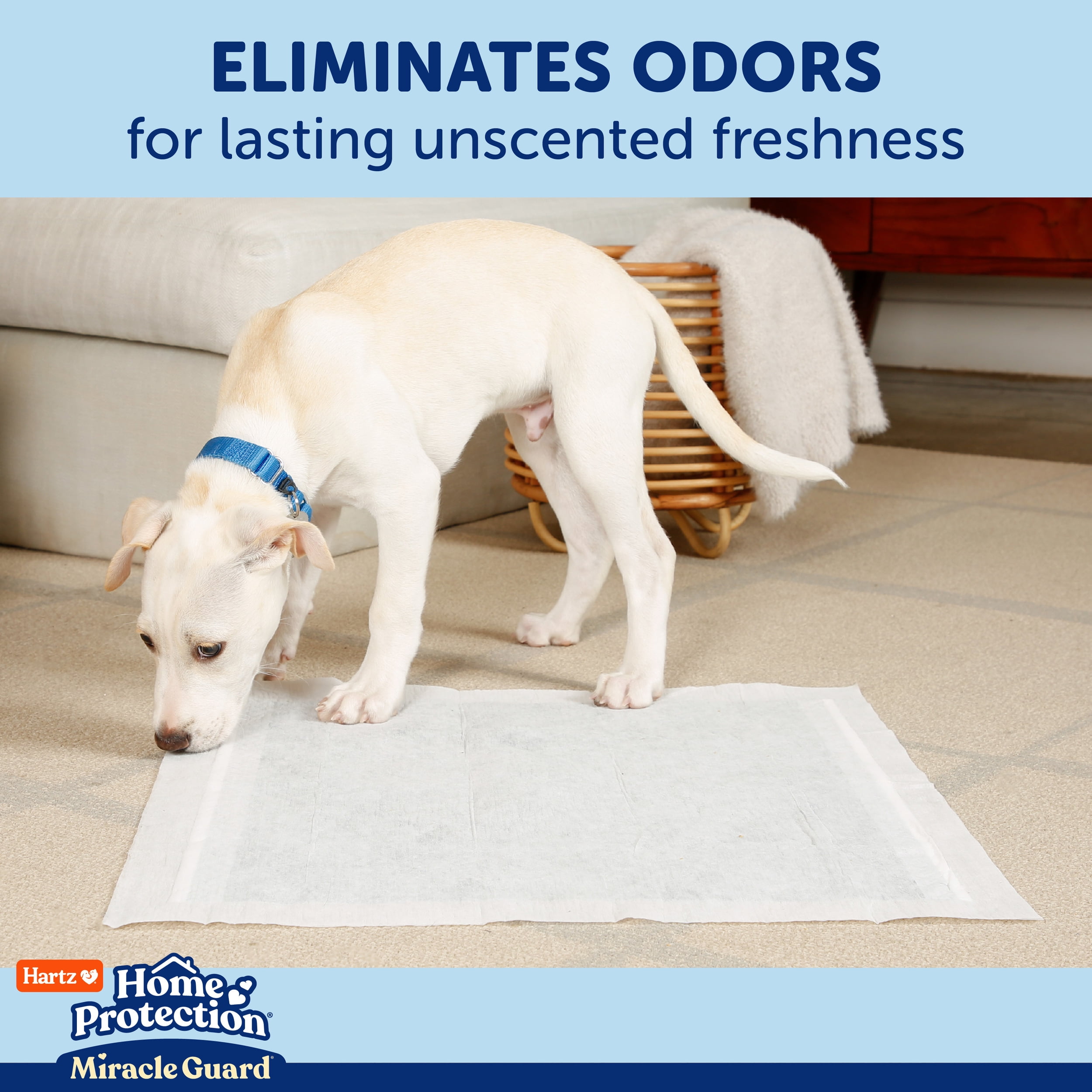 (2 pack) Hartz Miracle Guard Dog and Puppy Pads Max Absorbency 24 Hour Use Odor Eliminating No Leaks, XXL, 20 Count