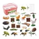 thumbnail image 3 of Ciclo de vida animal Juguete Montessori Juguetes Material didáctico de ciencias Ciclo de crecimiento animal Caja rosa, 3 of 9