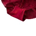 thumbnail image 4 of Womens Sexy Lace Underwear Cotton Crotch Panties High Waisted Floral Lace Brief Tulle Underpants, 4 of 6