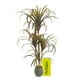 thumbnail image 1 of Planta artificial moderna decorativa Real Style Dracaena Marginata  de 120cm de alto Artego para hogar sala comercio oficina, 1 of 9